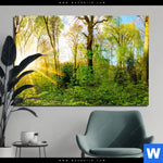 Aluminiumbild Gebürstet Sonnenlicht Im Wald Querformat Produktvorschau mit dem Bild Sonnenlicht im Wald im Format Querformat.