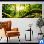 Aluminiumbild Gebürstet Sonnenstrahlen Im Dichten Wald Panorama Produktvorschau mit dem Bild Sonnenstrahlen im dichten Wald im Format Panorama.