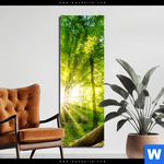 Aluminiumbild Gebürstet Sonnenstrahlen Im Dichten Wald Schmal Produktvorschau mit dem Bild Sonnenstrahlen im dichten Wald im Format Schmal.