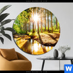 Aluminiumbild Gebürstet Sonniger Wald Rund Produktvorschau mit dem Bild Sonniger Wald im Format Rund.