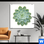 Aluminiumbild Gebürstet Sukkulente No 2 Quadrat Produktvorschau mit dem Bild Sukkulente No.2 im Format Quadrat.
