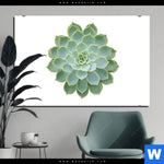 Aluminiumbild Gebürstet Sukkulente No 2 Querformat Produktvorschau mit dem Bild Sukkulente No.2 im Format Querformat.