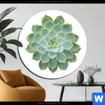 Aluminiumbild Gebürstet Sukkulente No 2 Rund Produktvorschau mit dem Bild Sukkulente No.2 im Format Rund.