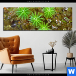 Aluminiumbild Gebürstet Tautropfen Auf Moos Panorama Produktvorschau mit dem Bild Tautropfen auf Moos im Format Panorama.