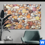 Aluminiumbild Gebürstet Viele Muscheln Querformat Produktvorschau mit dem Bild Viele Muscheln im Format Querformat.