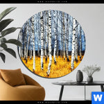 Aluminiumbild Gebürstet Wald Mit Birkenbaeumen Rund Produktvorschau mit dem Bild Wald mit Birkenbäumen im Format Rund.
