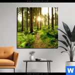 Aluminiumbild Gebürstet Wald Mit Sonnenstrahlen No 2 Quadrat Produktvorschau mit dem Bild Wald mit Sonnenstrahlen No.2 im Format Quadrat.