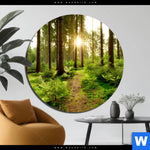 Aluminiumbild Gebürstet Wald Mit Sonnenstrahlen No 2 Rund Produktvorschau mit dem Bild Wald mit Sonnenstrahlen No.2 im Format Rund.