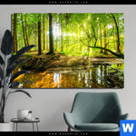 Aluminiumbild Gebürstet Wald Mit Sonnenstrahlen Querformat Produktvorschau mit dem Bild Wald mit Sonnenstrahlen im Format Querformat.