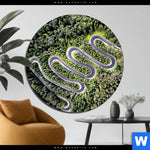 Aluminiumbild Gebürstet Wald Strasse Luftaufnahme Rund Produktvorschau mit dem Bild Wald & Straße Luftaufnahme im Format Rund.