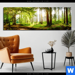 Aluminiumbild Gebürstet Waldbach Im Sonnenschein Panorama Produktvorschau mit dem Bild Waldbach im Sonnenschein im Format Panorama.