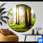 Aluminiumbild Gebürstet Waldbach Im Sonnenschein Rund Produktvorschau mit dem Bild Waldbach im Sonnenschein im Format Rund.