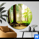 Aluminiumbild Gebürstet Waldpanorama Rund Produktvorschau mit dem Bild Waldpanorama im Format Rund.