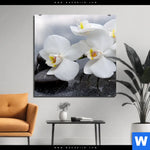 Aluminiumbild Gebürstet Weisse Orchideen Quadrat Produktvorschau mit dem Bild Weiße Orchideen im Format Quadrat.