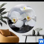 Aluminiumbild Gebürstet Weisse Orchideen Rund Produktvorschau mit dem Bild Weiße Orchideen im Format Rund.