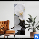 Aluminiumbild Gebürstet Weisse Orchideen Schmal Produktvorschau mit dem Bild Weiße Orchideen im Format Schmal.
