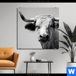 Aluminiumbild Gebürstet Weisser Bulle Quadrat Produktvorschau mit dem Bild Weisser Bulle im Format Quadrat.