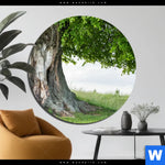 Bild Edelstahloptik Alte Linde Auf Sommerwiese Rund Produktvorschau mit dem Bild Alte Linde auf Sommerwiese im Format Rund.