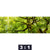 Bild Edelstahloptik Baumkrone Einer Buche Panorama Motivorschau Seitenverhaeltnis 3 1