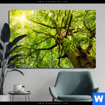 Bild Edelstahloptik Baumkrone Einer Buche Querformat Produktvorschau mit dem Bild Baumkrone einer Buche im Format Querformat.