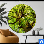 Bild Edelstahloptik Baumkrone Einer Buche Rund Produktvorschau mit dem Bild Baumkrone einer Buche im Format Rund.