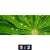 Bild Edelstahloptik Blatt Mit Wassertropfen Panorama Motivorschau Seitenverhaeltnis 5 2
