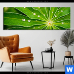 Bild Edelstahloptik Blatt Mit Wassertropfen Panorama Produktvorschau mit dem Bild Blatt mit Wassertropfen im Format Panorama.