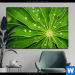 Bild Edelstahloptik Blatt Mit Wassertropfen Querformat Produktvorschau mit dem Bild Blatt mit Wassertropfen im Format Querformat.