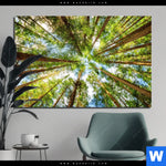 Bild Edelstahloptik Blick In Baumkronen Querformat Produktvorschau mit dem Bild Blick in Baumkronen im Format Querformat.