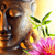 Bild Edelstahloptik Buddha Kopf Seerose Schmal