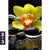 Bild Edelstahloptik Gelbe Orchidee Hochformat Motivorschau Seitenverhaeltnis 2 3
