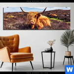 Bild Edelstahloptik Grasendes Hochlandrind Panorama Produktvorschau mit dem Bild Grasendes Hochlandrind im Format Panorama.