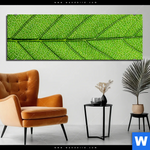 Bild Edelstahloptik Gruene Blattadern Panorama Produktvorschau mit dem Bild Grüne Blattadern im Format Panorama.