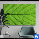 Bild Edelstahloptik Gruene Blattadern Querformat Produktvorschau mit dem Bild Grüne Blattadern im Format Querformat.