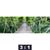 Bild Edelstahloptik Haengebruecke Im Dschungel Panorama Motivorschau Seitenverhaeltnis 3 1
