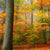 Bild Edelstahloptik Herbstfarben Im Nebligen Wald Rund