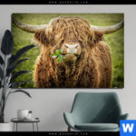 Bild Edelstahloptik Hochland Rind Mit Nasenring Querformat Produktvorschau mit dem Bild Hochland-Rind mit Nasenring im Format Querformat.