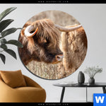 Bild Edelstahloptik Hochlandrind Auf Weide Rund Produktvorschau mit dem Bild Hochlandrind auf Weide im Format Rund.