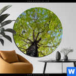 Bild Edelstahloptik Hoher Baum Rund Produktvorschau mit dem Bild Hoher Baum im Format Rund.