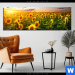 Bild Edelstahloptik Leuchtend Gelbe Sonnenblumen Am Abend Panorama Produktvorschau mit dem Bild Leuchtend gelbe Sonnenblumen am Abend im Format Panorama.