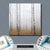 Bild Edelstahloptik Nebel Im Birkenwald Quadrat Materialbild