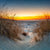 Bild Edelstahloptik Ostseestrand Bei Sonnenuntergang Quadrat Motivvorschau