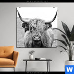 Bild Edelstahloptik Rind Im Hochland Quadrat Produktvorschau mit dem Bild Rind im Hochland im Format Quadrat.