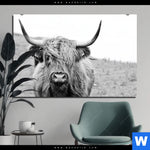 Bild Edelstahloptik Rind Im Hochland Querformat Produktvorschau mit dem Bild Rind im Hochland im Format Querformat.