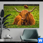 Bild Edelstahloptik Rind In Den Schottischen Highlands Querformat Produktvorschau mit dem Bild Rind in den schottischen Highlands im Format Querformat.