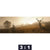 Bild Edelstahloptik Rothirsch Im Nebel Panorama Motivorschau Seitenverhaeltnis 3 1