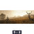 Bild Edelstahloptik Rothirsch Im Nebel Panorama Motivorschau Seitenverhaeltnis 5 2