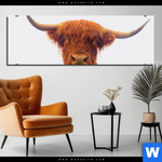 Bild Edelstahloptik Schottisches Hochlandrind Panorama Produktvorschau mit dem Bild Schottisches Hochlandrind im Format Panorama.