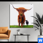 Bild Edelstahloptik Schottisches Hochlandrind Quadrat Produktvorschau mit dem Bild Schottisches Hochlandrind im Format Quadrat.