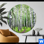 Bild Edelstahloptik Sommerbirken Rund Produktvorschau mit dem Bild Sommerbirken im Format Rund.